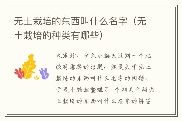 無土栽培的東西叫什么名字（無土栽培的種類有哪些）